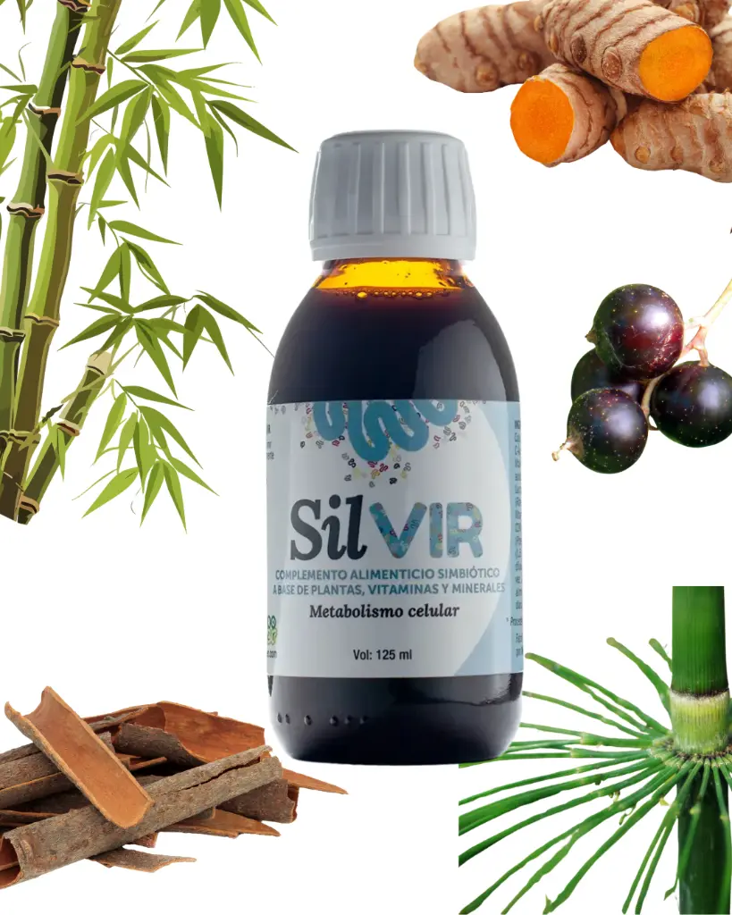 Diseño sin título(6).webp